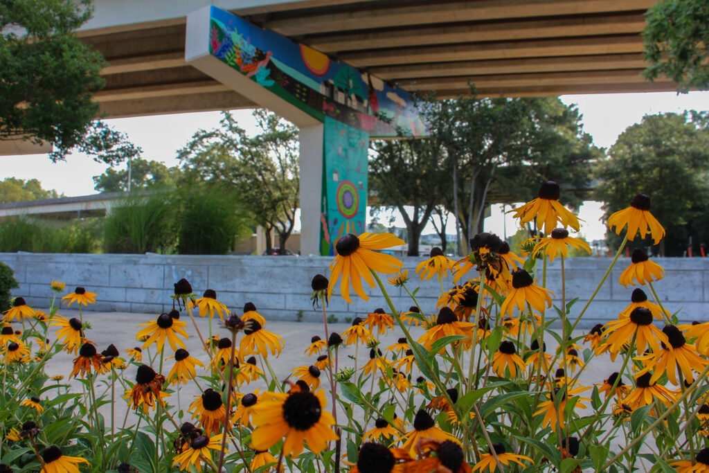 park flowers