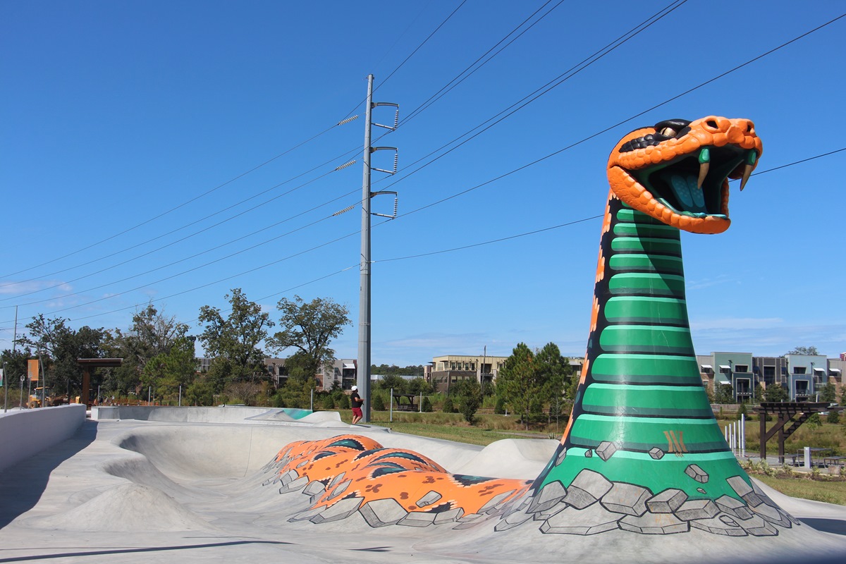 skate park dragon