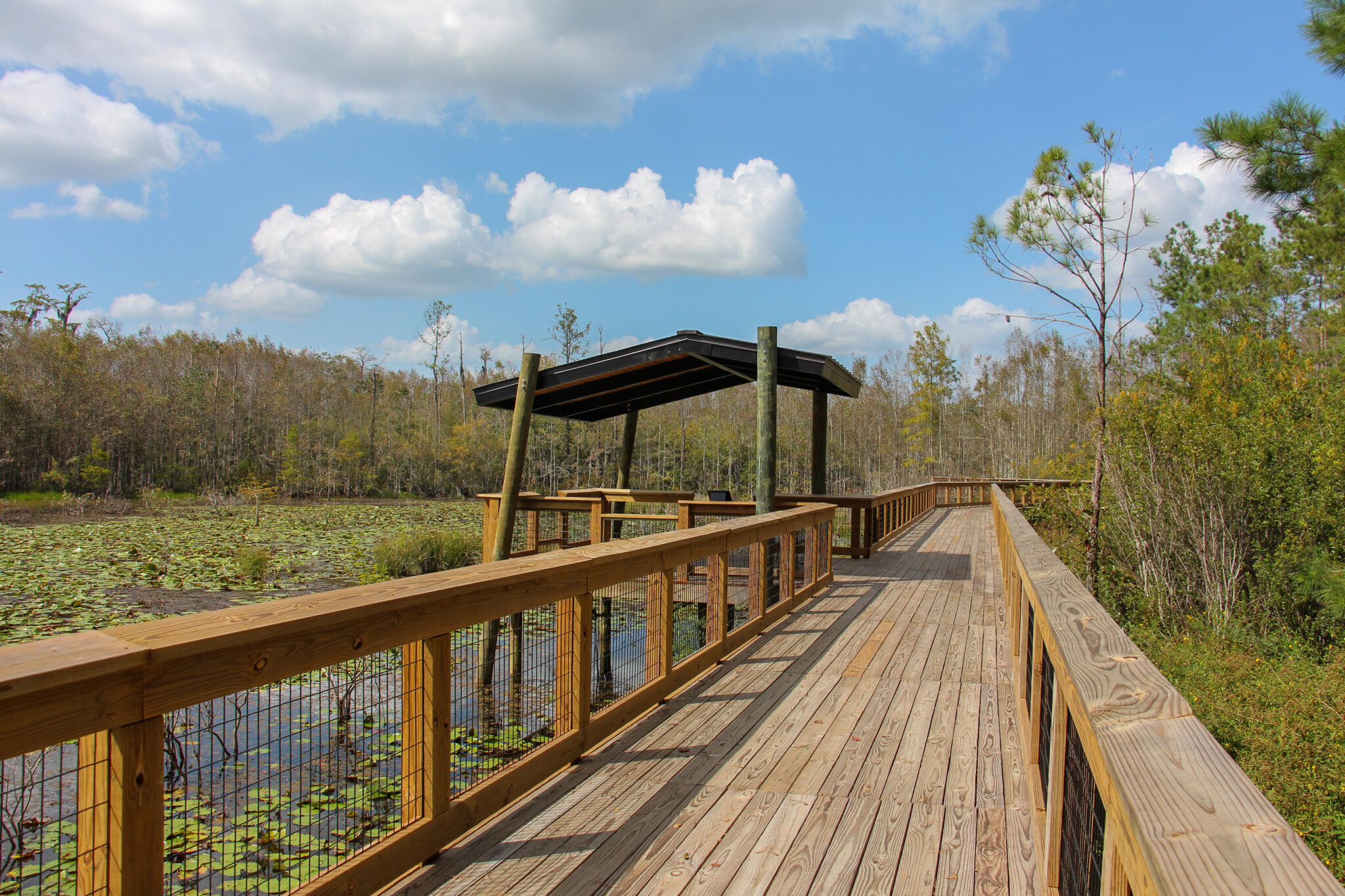 Debbie Lightsey Nature Park Blueprint Intergovernmental Agency