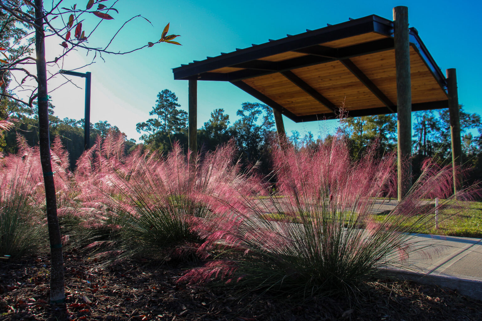 Debbie Lightsey Nature Park Blueprint Intergovernmental Agency
